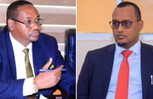 Madaxweyne Xasan Shiikh oo magacaabay laba la taliye oo ka caawin doona Howlaha Federaalka iyo Dimuqraadiyadda