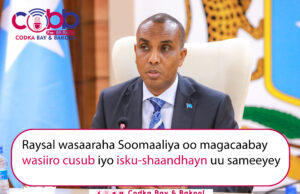 Ra’iisul Wasaare Xamsa Oo Magacaabis Iyo Isku Shaandhayn Ku Sameeyay Golaha wasiirada