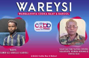 Taliyaha Daraawiishta Diinsoor oo Balanqaaday Furitaanka Waddooyinka Xiriiriya Diinsoor iyo Baydhabo.