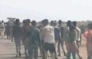 Muhaajiriin horay go,aano looga soo saaray oo kusii qul qulaya deegaanada Puntland.