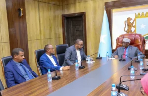 Maxaay Kawada Hadleen Aadan Madoowe iyo Hogaamiye Firdhiye?