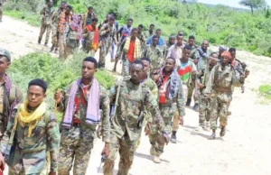 Ciidamada Dowladda oo Fuliyay Howlgal qorsheysan oo lagu beegsaday kooxda AS.