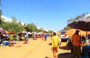 Horumaro Ganacsi Oo ka Socda Deegaanka Awdiinle