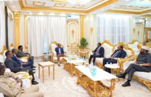 Madasha Wadatashiga Siyaasadeed: Fursad Mise Fashil Siyaasadeed?