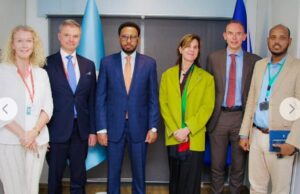 DFS oo malaayiin doolar ka heshay Midowga Yurub.