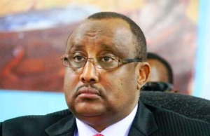 Muxuu yahay Xilka Cabdi wali Gaas looga magacaabay Midowga Afrika.