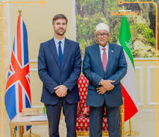 Somaliland oo Ingiriiska u sheegtay in DFS qalalaase ka wado Sool iyo Sanaag