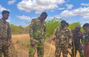 Ciidamada dowladda oo howlgalo ka fuliyay Shabeellaha Hoose.