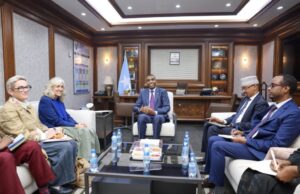 Ra’iisul wasaare Xamse oo la kulmay Safiirka Midowga Yurub?