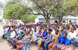 Shirka dib uheshiisiinta Beelaha Oo lagu qabtey Degmada Bardaale