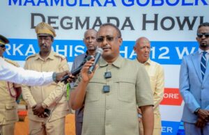 Guddoomiye Mungaab oo sheegay in la dhisi doono Wadada Warshadaha, Daallo iyo Fagax.