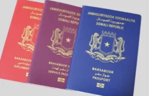 Dowladda Soomaaliya oo shaacisay in dib u habeyn lagu sameyn doono Baasabuurka Soomaaliga