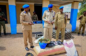 Photos: – Baidoa District Police Station displaying drugs seized in the city.
