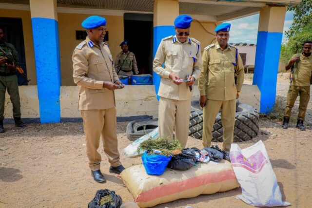 WhatsApp Image 2025-10-07 at 1.40.18 PM (1)