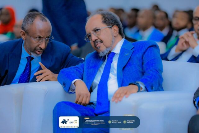 WhatsApp Image 2025-10-07 at 1.46.47 PM