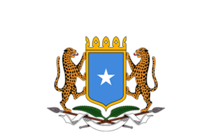 XFS oo beenisay in ay Sweden la gashay heshiis dalka dib loogu soo celinayo Soomaalida ku nool Dalkaas