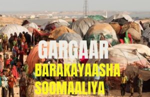 Q.M oo bisha soo socota jareysa gargaar muhiim u ahaa dadka nugul ee Soomaaliyeed.