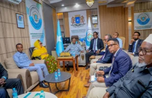 Dowlada Soomaaliya oo Shir deg deg ah ka leh Khalalaasaha E-Visa