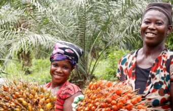 Ghana oo Nus Bilyan Doollar ku bixineysa abuurka Timirta Salidda laga sameeyo