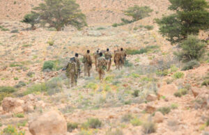 Puntland oo ku dhawaaqday hawlgal Waji Cusub ah oo lagu qaadayo buuralayda Calmadow,