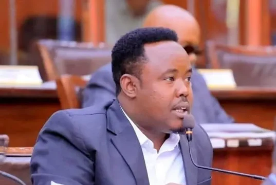 Xildhibaan Maxamed Abiib oo digniin Udiray Madaxweynaha Somaliland