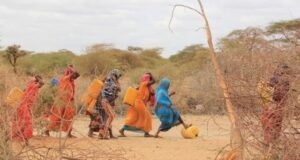 Qoysas badan oo Abaar darteed isaga barakacay deegaanno katirsan Jubada Hoose