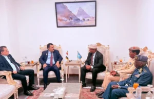 Somalia and Yemen Discuss Joint Maritime Security and Arms Control in Cairo