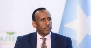 DFS oo sheegtay in Jarmalka uu aqoonsaday Baasaboorka diblomaasiga Soomaaliya.