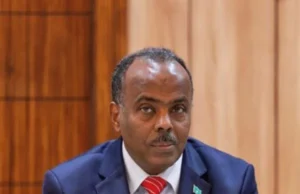 Cali Balcad “Isbahaysi Sacuudi iyo Masar waa lama huraan xilligan”