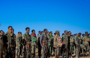 Dowladda Soomaaliya oo soo bandhigtay Ciidanka Xoogga ee ka howlgala deegaannada Puntland