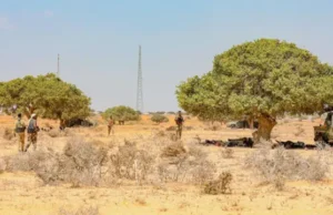 DFS oo sheegtay in la beegsaday xaruntii ugu weyneed Al-shabaab ay ku laheyd Gobolka Baay.