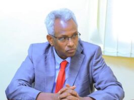 Puntland oo diiday in doorashada Federaalka lagu qabto Sool.