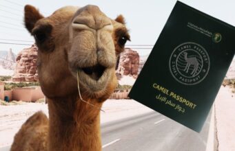 Sacuudiga oo Geella Dalkiisa siinaya Baasaboor!