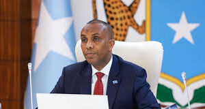 Ra’iisul Wasaaraha Soomaaliya ayaa sheegay in DFS ay ka go’an tahay dhameystirka dib-u-eegista Dastuurka Somaliya