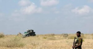 Ciidamada DFS oo xoogga saaray howlgallada ka dhanka ah ‘AS’ ee Shabeelaha Dhexe