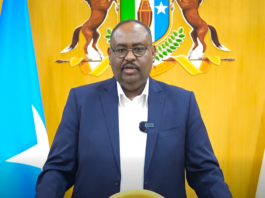 Deni oo sheegay in dacwad maxkamadeed ay ka furayaan Diyaaraddii dib looga celiyay Garoowe