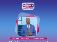 DEG DEG;- Wasiirka Amniga Koonfur Galbeed oo Beeniyay Wararka Diyaarad Ciidan oo La Soo Riday