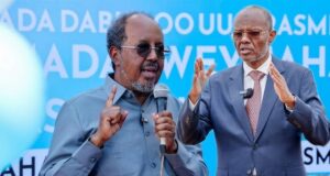 Maxay tahy eedeynta ay Koonfur Galbeed u jeedisay Dowladda Turkiga?