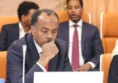 Soomaaliya in dhulkeeda uga digtay Israa’iil in ay saldhig militari ka dhisato Somaliland.