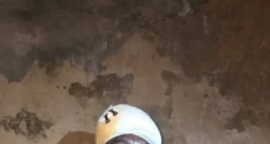 Ciidamada Amniga oo qabtay nin miino ku aasi rabay Marka.