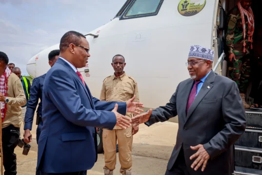 Guddoomiye Aadan madoobe ayaa soo gaaray Baydhabo .