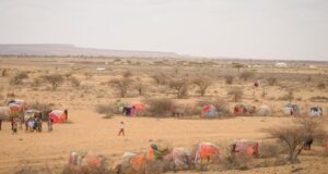 Dad isugu jira Xoolo dhaqato & Beeralay oo abaar darran ku haysato Deegaanno katirsan DG Koofur Galbeed