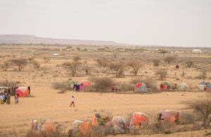 Dad isugu jira Xoolo dhaqato & Beeralay oo abaar darran ku haysato Deegaanno katirsan DG Koofur Galbeed