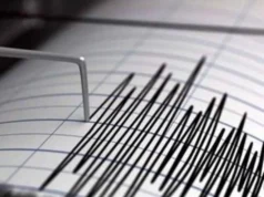 Dhul-gariir xoogan ku dhuftay Masar.