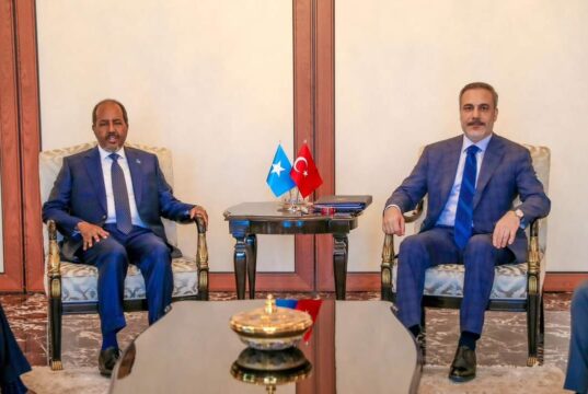 Wasiirka Arrimaha Dibadda Masar Oo la kulmay Madaxweynaha Soomaaliya.