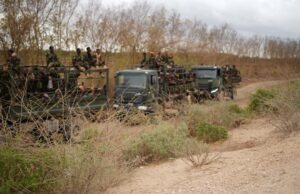 Ciidamada Xoogga Dalka Soomaaliyeed ayaa bilaabay howlgallo ka dhan ah Al-Shabaab oo ka socda gobolka Shabeellaha Hoose.