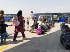 Dowladda Jarmalka oo shaacisay tirada Soomaalida aanay haysan sharciga wayn ee Dalkeeda