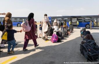 Dowladda Jarmalka oo shaacisay tirada Soomaalida aanay haysan sharciga wayn ee Dalkeeda