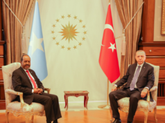 Madaxweynaha DFS oo kulan la qaatay wasiirka Tamarta Turkiga .