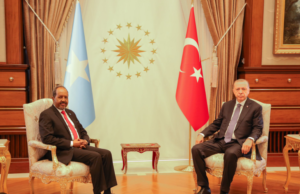 Madaxweynaha DFS oo kulan la qaatay wasiirka Tamarta Turkiga .